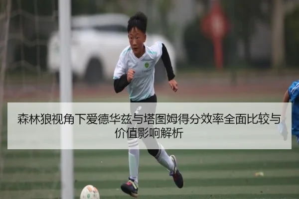 森林狼视角下爱德华兹与塔图姆得分效率全面比较与价值影响解析